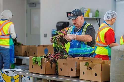 MIKE DEAL / FREE PRESS
John Hoffman works at sorting out some donated beets during his volunteer shift Wednesday morning. John has been volunteering at Harvest MB on and off of the last ten years.
Vince Barletta, President and CEO, Harvest Manitoba along with Barry Watson, area Vice-President, Corporate Financing and Senior Accounts at Western Canada for Farm Credit Canada (FCC) during an announcement at Harvest MB&#x2019;s facilities (1085 Winnipeg Avenue) Wednesday morning, that FCC will be putting up $500,000 to help Harvest Manitoba expand.
Reporter: Tyler Searle
251001 - Wednesday, October 01, 2025.