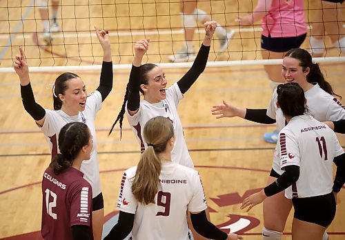 Assiniboine College Cougars players celebrate a point during their exhibition volleyball match against Briercrest College at AC on Friday evening. (Tim Smith/The Brandon Sun)