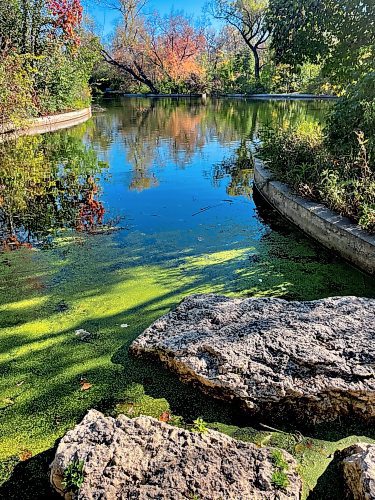 Ruth Bonneville / Free Press
LOCAL STDUP - Fall colours
Brilliant fall foliage is reflected in the water at the Duck Pond at Assiniboine Park Tuesday.
Oct 07, 2025