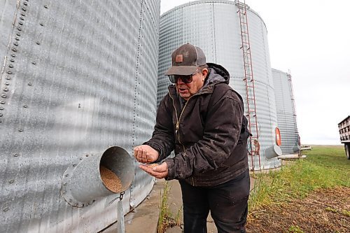 Ruth Bonneville / Free Press
49.8 - farm checkup
Photo of Chuck Fossey annualizing the condition of his crops on his farm near Starbuck Manitoba.
What: This is for a cross-Manitoba farm check-up story. We're visiting/calling a handful of farmers to talk about how they've coped with a topsy-turvy year, focusing on the impacts of drought and wildfires, tariffs and the lifting of the carbon tax under a new government.
Oct 17, 2025