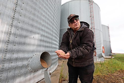 Ruth Bonneville / Free Press
49.8 - farm checkup
Photo of Chuck Fossey annualizing the condition of his crops on his farm near Starbuck Manitoba.
What: This is for a cross-Manitoba farm check-up story. We're visiting/calling a handful of farmers to talk about how they've coped with a topsy-turvy year, focusing on the impacts of drought and wildfires, tariffs and the lifting of the carbon tax under a new government.
Oct 17, 2025