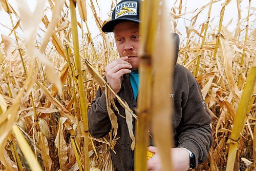 MIKE DEAL / FREE PRESS
Farmer, Jake Ayre, owner of Southern Seed Ltd runs a mixed 1,900-acre farm with his dad and is also a VP of Keystone Ag.
Jake in one of his corn fields checking on its condition.
Checking in with farmers to see how they fared this season given the tariffs, drought, wildfires and government change.
Reporter: Julia-Simone Rutgers
251021 - Tuesday, October 21, 2025.