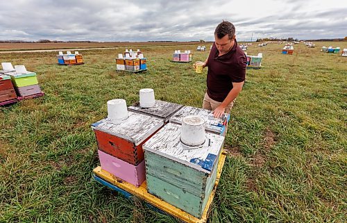 MIKE DEAL / FREE PRESS
Mike Clark is a third-generation beekeeper from Treesbank, Manitoba, who runs a long-standing apiary that his grandfather started in 1914. He is a member of the Manitoba Beekeepers' Association.
Checking in with farmers to see how they fared this season given the tariffs, drought, wildfires and government change.
Reporter: Julia-Simone Rutgers
251021 - Tuesday, October 21, 2025.
