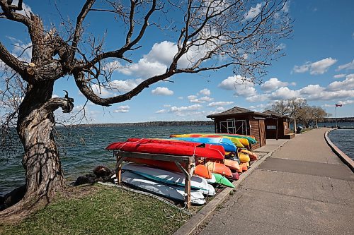 09052024
Kayaks offered for rent at the Clear Lake Marina along the pier in Wasagaming. Parks Canada announced on Thursday that all personal watercraft, including motorized boats, canoes, kayaks and paddle boards, will be banned from use on Clear Lake for the 2024 season as part of work to determine whether invasive zebra mussels have established a presence in the lake.   (Tim Smith/The Brandon Sun)