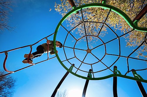 Ruth Bonneville / Free Press 
Standup - Navigating the Web
Four-year-old Jacob Cramer makes his way up and around a giant web which is part of a play structure at T. R> Hodgson Park on Carpathia St. while hanging out at the park with his mom Friday afternoon.  
Oct 24, 2025