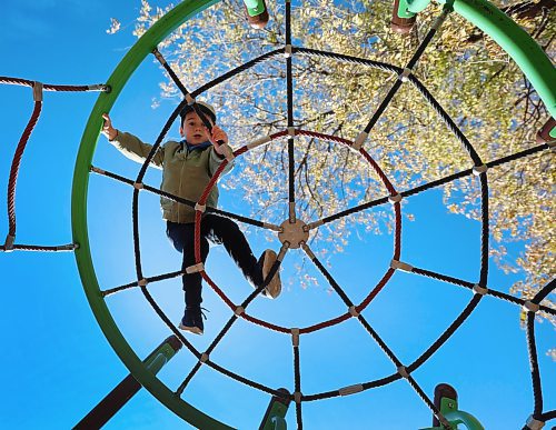 Ruth Bonneville / Free Press 
Standup - Navigating the Web
Four-year-old Jacob Cramer makes his way up and around a giant web which is part of a play structure at T. R> Hodgson Park on Carpathia St. while hanging out at the park with his mom Friday afternoon.  
Oct 24, 2025