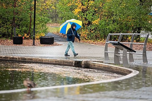 MIKAELA MACKENZIE / FREE PRESS
Don Kilimnik walks through the rain at Assiniboine Park on Monday, Oct. 27, 2025. 
Standup.
Free Press 2025