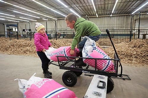 27102025
Hard-working siblings Marren and Elijah Ginter with BASKM Land & Cattle of Kelwood, Manitoba, unload cattle feed at their parents stalls in the Keystone Centre on Monday ahead of Manitoba AG EX, the all-breed cattle show that starts Wednesday and runs until Saturday.
(Tim Smith/The Brandon Sun)