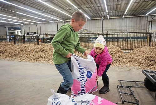 27102025
Hard-working siblings Elijah and Marren Ginter with BASKM Land & Cattle of Kelwood, Manitoba, unload cattle feed at their parents stalls in the Keystone Centre on Monday ahead of Manitoba AG EX, the all-breed cattle show that starts Wednesday and runs until Saturday.
(Tim Smith/The Brandon Sun)