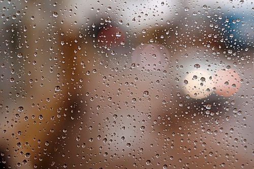27102025
Raindrops cling to a bus shelter on Princess Avenue on a rainy Monday morning. 
(Tim Smith/The Brandon Sun)