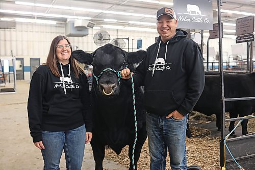 29102025
Kendra and Cody Nolan with Nolan Cattle Co. of Cypress River, Manitoba with their black angus bull during day one of Manitoba AG EX, the all-breed cattle show runs until Saturday.
(Tim Smith/The Brandon Sun)