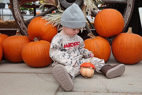Ten-month-old Briggs Slack checks out the pumpkins at the Haunted Greenhouse: Boo For A Cause! at Alternative Choice Garden Centre in Brandon on Thursday. (Tim Smith/The Brandon Sun)