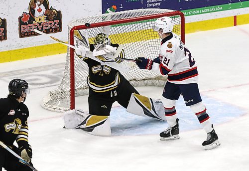 Brandon Wheat Kings goaltender Jayden Kraus (33) blocks the net as Regina Pats forward Ellis Mieyette (21) tips the puck during Western Hockey League action at Assiniboine Credit Union Place on Saturday. (Perry Bergson/The Brandon Sun)
Nov. 1, 2025