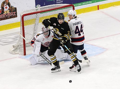 Regina Pats goaltender Marek Schlenker (35) keeps his eyes on the puck as Brandon Wheat Kings forward Jimmy Egan (21) and Pats defenceman Matt Paranych (44) tie up in front during Western Hockey League action at Assiniboine Credit Union Place on Saturday. (Perry Bergson/The Brandon Sun)
Nov. 1, 2025