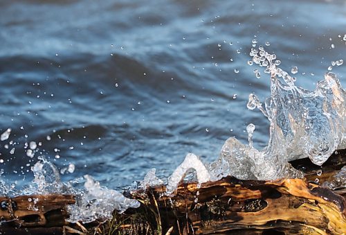 Strong winds push waves onto a piece of drift wood at Lake Clementi on a bright but gusty Monday afternoon. (Matt Goerzen/The Brandon Sun)