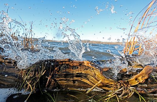 Strong winds push waves onto a piece of drift wood at Lake Clementi on a bright but gusty Monday afternoon. (Matt Goerzen/The Brandon Sun)