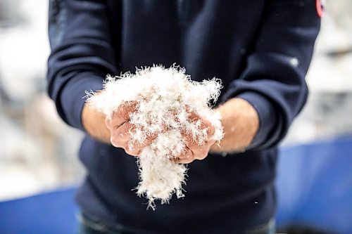 MIKAELA MACKENZIE / FREE PRESS
Andres Quiroz, director of manufacturing, holds a handful of down at the Canada Goose factory in Winnipeg on Tuesday, Nov. 4, 2025.
For Aaron Epp story.
Free Press 2025