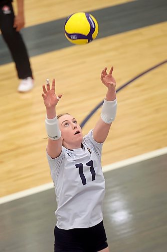 Carly Thomson #11 of the Brandon Bobcats sets the ball during university women’s volleyball action against the University of Manitoba Bisons at the BU Healthy Living Centre on Friday evening. (Tim Smith/The Brandon Sun)