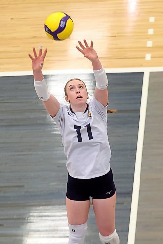 14112025
Carly Thomson #11 of the Brandon Bobcats sets the ball during university women’s volleyball action against the University of Manitoba Bisons at the BU Healthy Living Centre on Friday evening. 
(Tim Smith/The Brandon Sun)