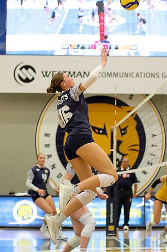 Bobcat middle blocker Alexa Parken attacks during the third set. (Thomas Friesen/The Brandon Sun)