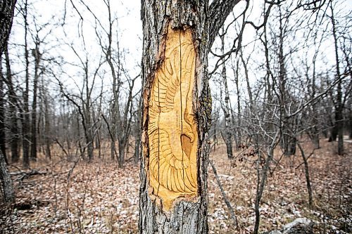 MIKAELA MACKENZIE / FREE PRESS

Carvings in the trees along the Bois des Esprits trail on Friday, Nov. 28, 2025.

For photo page.
Free Press 2025