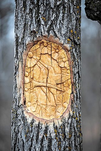 MIKAELA MACKENZIE / FREE PRESS

Carvings in the trees along the Bois des Esprits trail on Friday, Nov. 28, 2025.

For photo page.
Free Press 2025