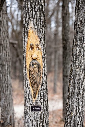 MIKAELA MACKENZIE / FREE PRESS

Carvings in the trees along the Bois des Esprits trail on Friday, Nov. 28, 2025.

For photo page.
Free Press 2025