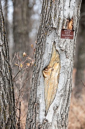 MIKAELA MACKENZIE / FREE PRESS

Carvings in the trees along the Bois des Esprits trail on Friday, Nov. 28, 2025.

For photo page.
Free Press 2025