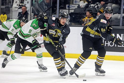 Jordan Gavin (13) of the Brandon Wheat Kings plays the puck during WHL action against the Prince Albert Raiders at Assiniboine Credit Union Place on Friday evening. 
(Tim Smith/The Brandon Sun)