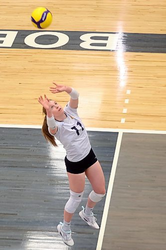 28112025
Carly Thomson (11) of the Brandon Bobcats sets the ball during university women’s volleyball action against the University of British Columbia Okanagan Heat at the BU Healthy Living Centre in Brandon on Friday evening. 
(Tim Smith/The Brandon Sun)