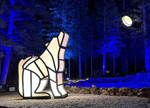 Gord Mackintosh / Free Press
In Search of Christmas Spirit celebrates Jason Carter’s illuminations.