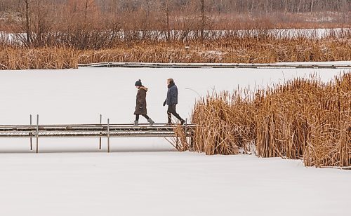 MIKE DEAL / FREE PRESS
Donna Short and her friend Laura Gray walk along a boardwalk trail at FortWhyte Alive Friday morning.
Standup
251205 - Friday, December 05, 2025.