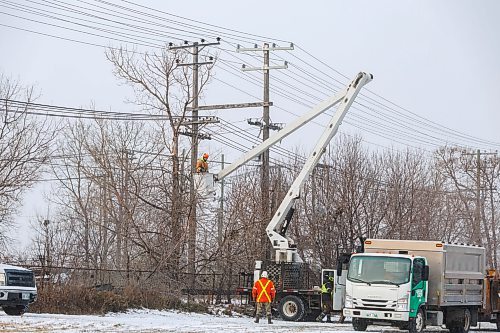 MIKE DEAL / FREE PRESS
Crews have started cutting down trees interfering with hydro lines just north of the CP Weston Shops railway lines along a green space between Shaughnessy Street and McNichol Street, south of Selkirk Avenue.
251204 - Thursday, December 04, 2025.