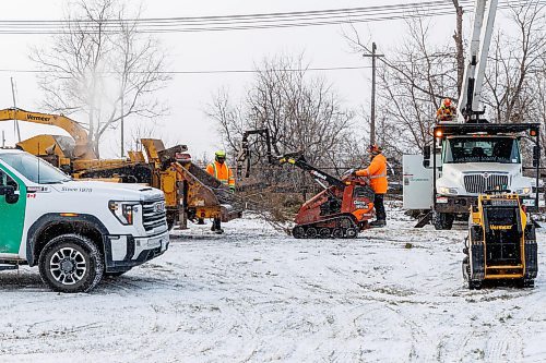 MIKE DEAL / FREE PRESS
Crews have started cutting down trees interfering with hydro lines just north of the CP Weston Shops railway lines along a green space between Shaughnessy Street and McNichol Street, south of Selkirk Avenue.
251204 - Thursday, December 04, 2025.