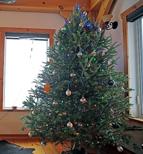 Friesen has a Christmas tree for the first time in six years. (Connor McDowell/The Brandon Sun)