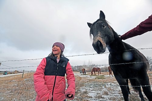 Blake Smart feeds a horse a candy cane. (Connor McDowell/The Brandon Sun)