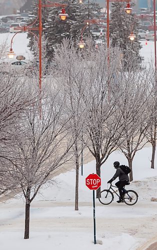 MIKE DEAL / FREE PRESS
A cyclist makes there way past hoarfrost covered trees at  The Forks Monday morning as temperatures warm up to around -4C by the afternoon.
Standup
260105 - Monday, January 05, 2026.