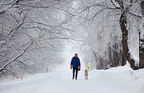 05012025
Bob Lee and Ginny walk along 34th Street amongst frost covered trees on a mild Monday afternoon.
(Tim Smith/The Brandon Sun)