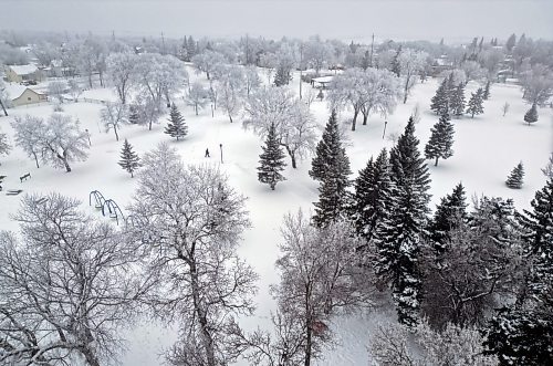 05012025
A pedestrian walks through Rideau Park as fog hangs over a frost-covered Brandon on a mild Monday. 
(Tim Smith/The Brandon Sun)