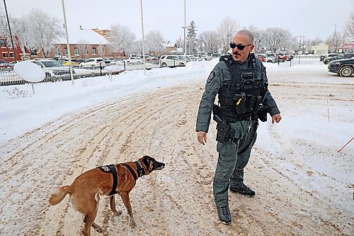 Justin Artibise of Brandon Police Service stands with his K9 unit partner Blink in January. Artibise said he learned almost everything he knows about handling dogs from Palmer. (Connor McDowell/The Brandon Sun)