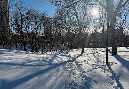 SCOTT BILLECK / FREE PRESS

Mostyn Park - January 7, 2026