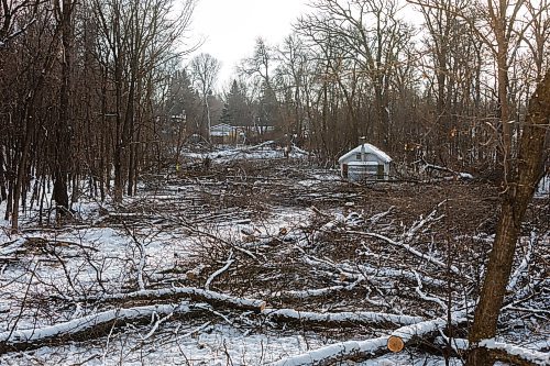 MIKE DEAL / FREE PRESS
The area of the Touchal Lands development in the Lemay Forest where the trees were cut down late December 2024. The small building is from the previous owners (not one of the sweat lodges).
Reporter: Erik Pindera
250108 - Wednesday, January 08, 2025.