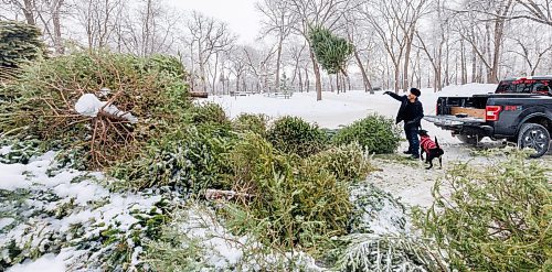 MIKE DEAL / FREE PRESS
Denny Lebreton and his dog Lucy, make a stop at the Let’s Chip In depot in Kildonan Park Tuesday morning.
There are nine locations that Christmas trees can be dropped off from now until the end of the month.
Just remember to remove all plastic tree bags, tinsel, lights, decorations and tree stands before dropping off a tree.
Standup
260106 - Tuesday, January 06, 2026.