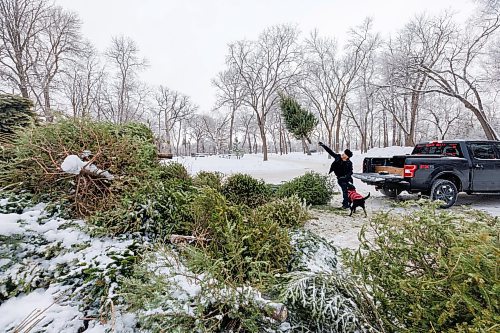 MIKE DEAL / FREE PRESS
Denny Lebreton and his dog Lucy, make a stop at the Let’s Chip In depot in Kildonan Park Tuesday morning.
There are nine locations that Christmas trees can be dropped off from now until the end of the month.
Just remember to remove all plastic tree bags, tinsel, lights, decorations and tree stands before dropping off a tree.
Standup
260106 - Tuesday, January 06, 2026.
