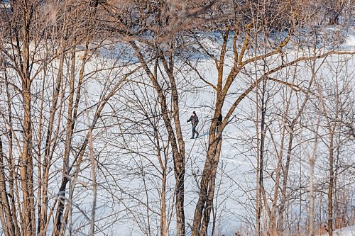MIKE DEAL / FREE PRESS
People take the opportunity to ski, skate and walk their dogs on the Assiniboine River near Assiniboine Park Friday.
260109 - Friday, January 09, 2026.