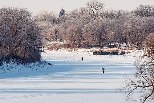 MIKE DEAL / FREE PRESS
People take the opportunity to ski, skate and walk their dogs on the Assiniboine River near Assiniboine Park Friday.
260109 - Friday, January 09, 2026.