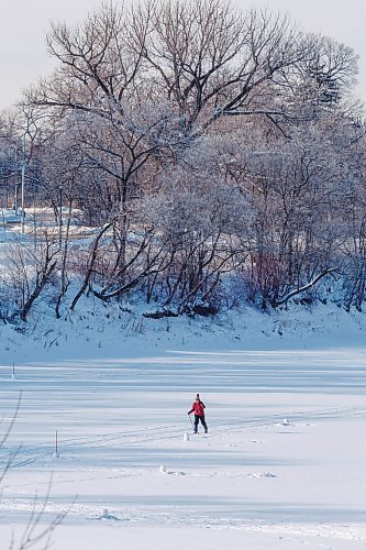 MIKE DEAL / FREE PRESS
People take the opportunity to ski, skate and walk their dogs on the Assiniboine River near Assiniboine Park Friday.
260109 - Friday, January 09, 2026.