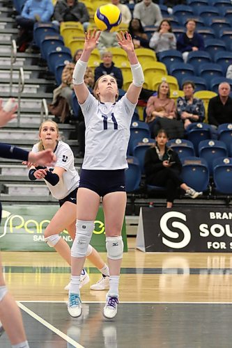 Carly Thomson will play the final home weekend of her Canada West women's volleyball career today and Saturday as the Brandon University Bobcats host the Regina Cougars. (Thomas Friesen/The Brandon Sun)