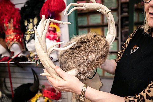 MIKAELA MACKENZIE / FREE PRESS

Jan Malabar shows a particularly interesting hat, handmade by her husband, at Harlequin Costume on Thursday, Feb. 5, 2026.

For Aaron Epp story.
Free Press 2026