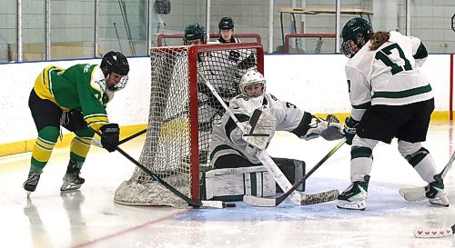 Assiniboine College Cougars forward Jenna Walker (14) tries a wrap-around but Dakota College at Bottineau Lumberjacks goalie Olivia Vaagen (30) hugs the post to make the save as Maya Mortensen (17) looks on at the Sportsplex on Sunday afternoon. (Perry Bergson/the Brandon Sun)
March 1, 2026